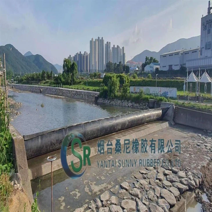 Puhallettava kumirakko PowerStationille